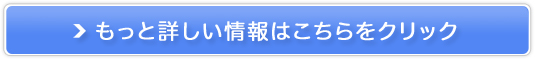 HcE̓{ꍂȔ[XyڕYz̔TCg